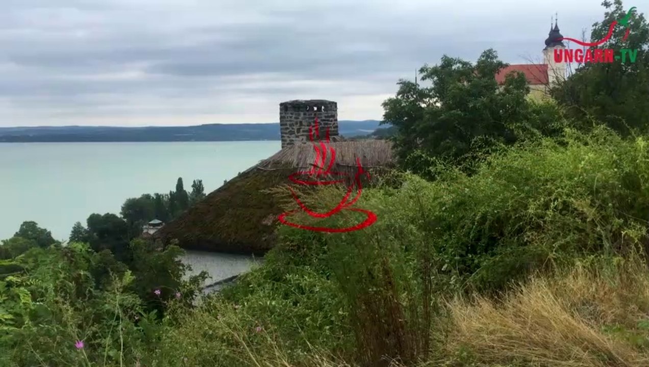 Die Virtuelle Kaffeetasse Ungarns am 13.01.2023