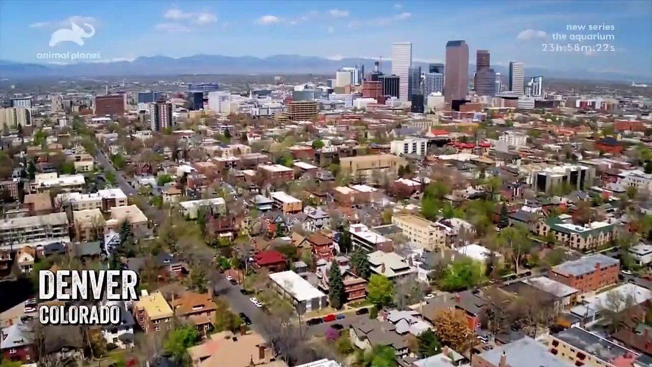 Dr. Jeff - Rocky Mountain Vet - Se6 - Ep01 HD Watch