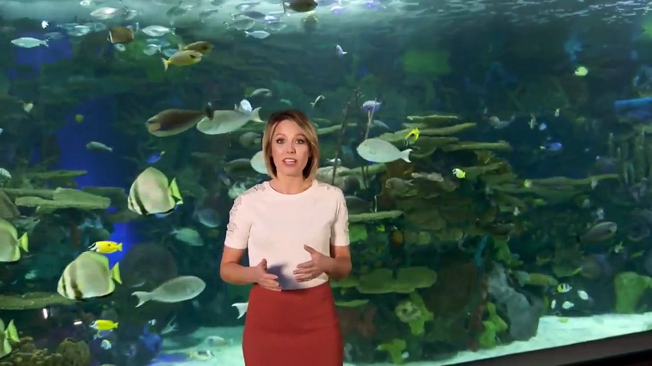 Earth Odyssey with Dylan Dreyer - Se1 - Ep13 - Japan HD Watch