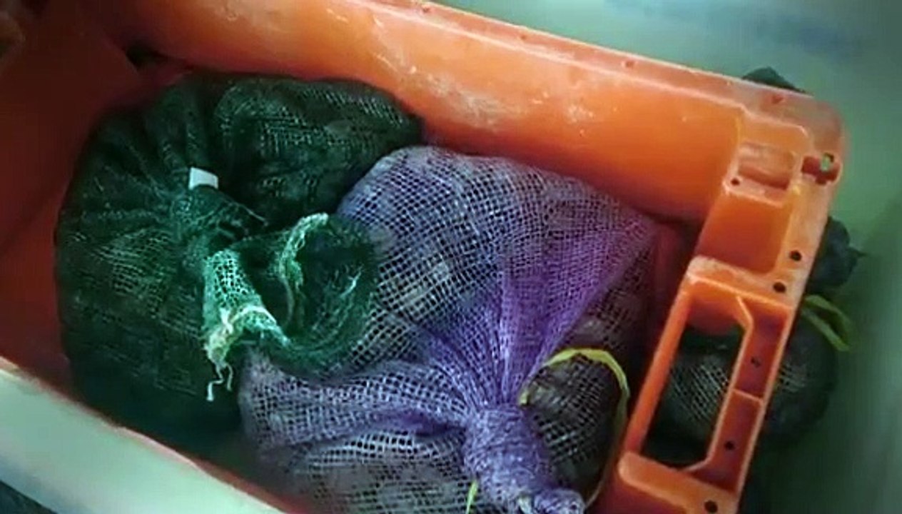 Defenders UK - Se2 - Ep03 HD Watch