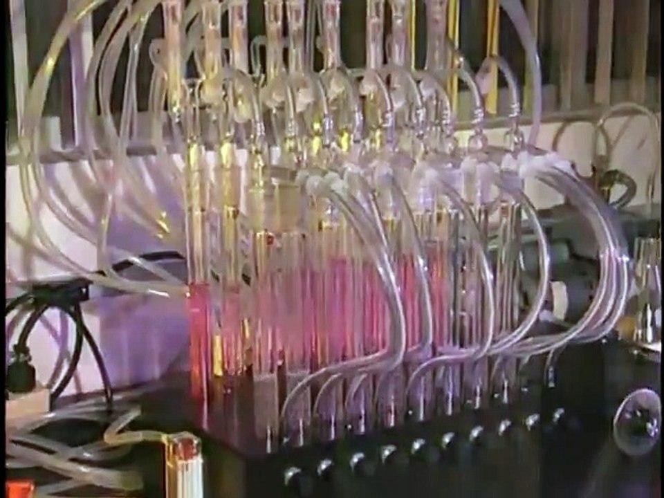 Forensic Files - Se3 - Ep08 HD Watch