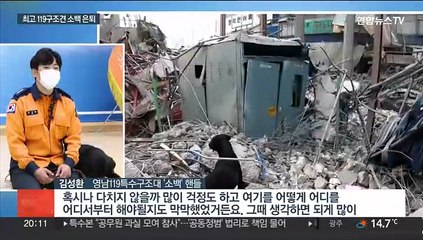 광주 아파트 붕괴 현장 등 활약…최고의 119구조견 '소백' 은퇴