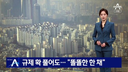 부동산 규제 확 풀어도…‘똘똘한 한 채’만 몰린다
