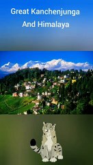 Respect the Nature and save it