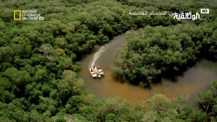 البقاء في ظروف قاسية | شرير جيرسي