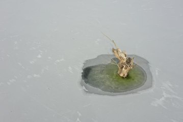 Kars Barajı'nın yüzeyi buz tuttu