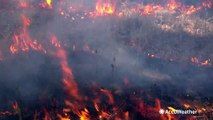 California storms could lead to active wildfire season