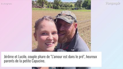 Lucile (L'amour est dans le pré) : en galère et face à une périlleuse "mission" avec sa fille Capucine