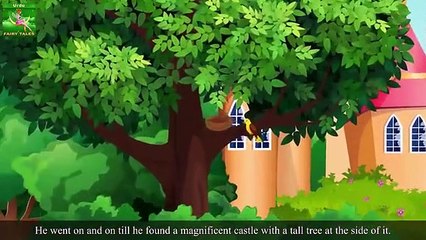 خاتون_اور_شیر۔_|_The_Lady_and_The_Lion_Story_in_Urdu_|_Urdu_Fairy_Tales(360p)