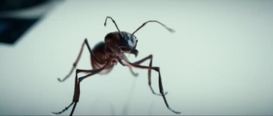 Ant-Man fait de la pub pour Heineken