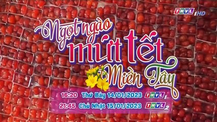 CUỘC CHIẾN THỪA KẾ TẬP 66 - PHIM TÌNH CẢM NƯỚC NGOÀI MỚI NHẤT 2023