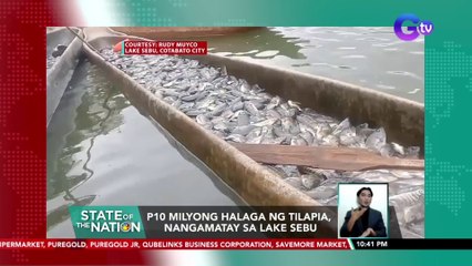 P10 milyong halaga ng tilapia, nangamatay sa Lake Sebu | SONA