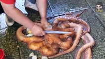 17kg 대왕문어 _ 17kg Giant Octopus - Korean Street Food _ 포항 죽도어시장(240P)