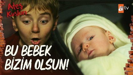 Köksüzler, çöp kutusunun içinde bir bebek buldu!  - Ateş Kuşları 1. Bölüm