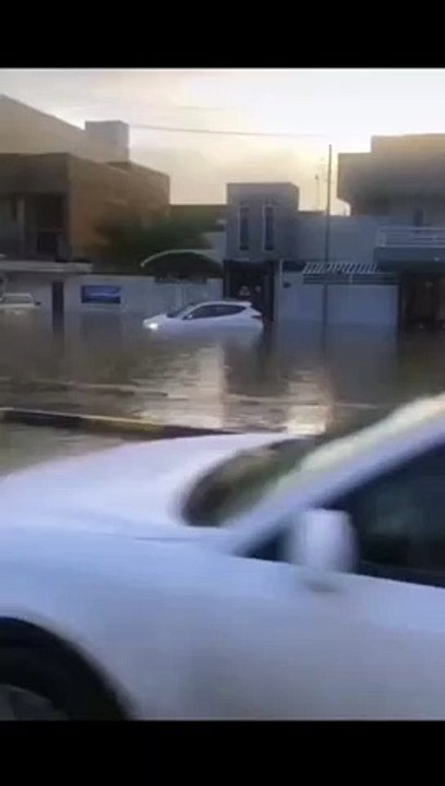 شاوضاعكم طمنونا احنا تسونامي مر