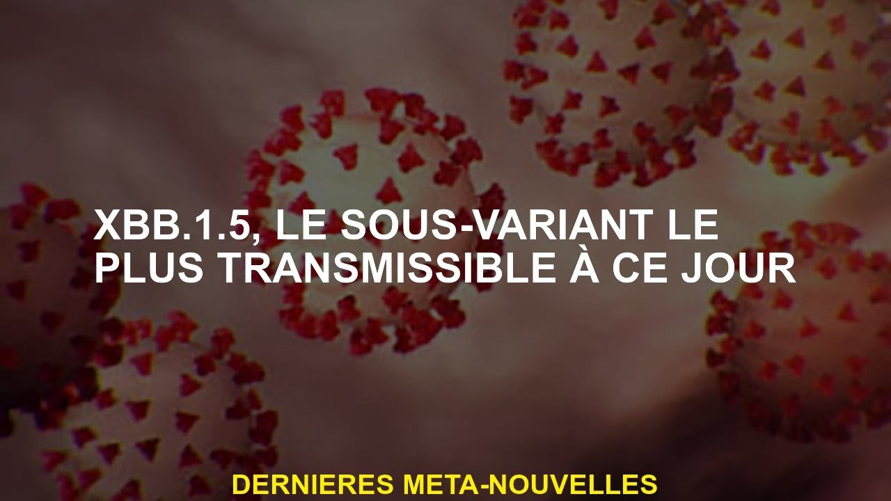 XBB.1.5, le sous-variant le plus transmis à ce jour