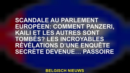 Scandale au Parlement européen: comment Panzeri, Kaili et les autres sont tombés? Les révélations in