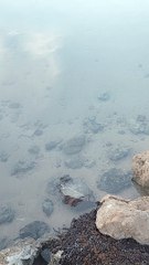 You must watch the sunrise on the Red Sea and enjoy the beauty of the scenic nature ️