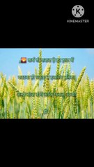 असा कर्म करे जो बीज हम बोयेगे वोही फसल
