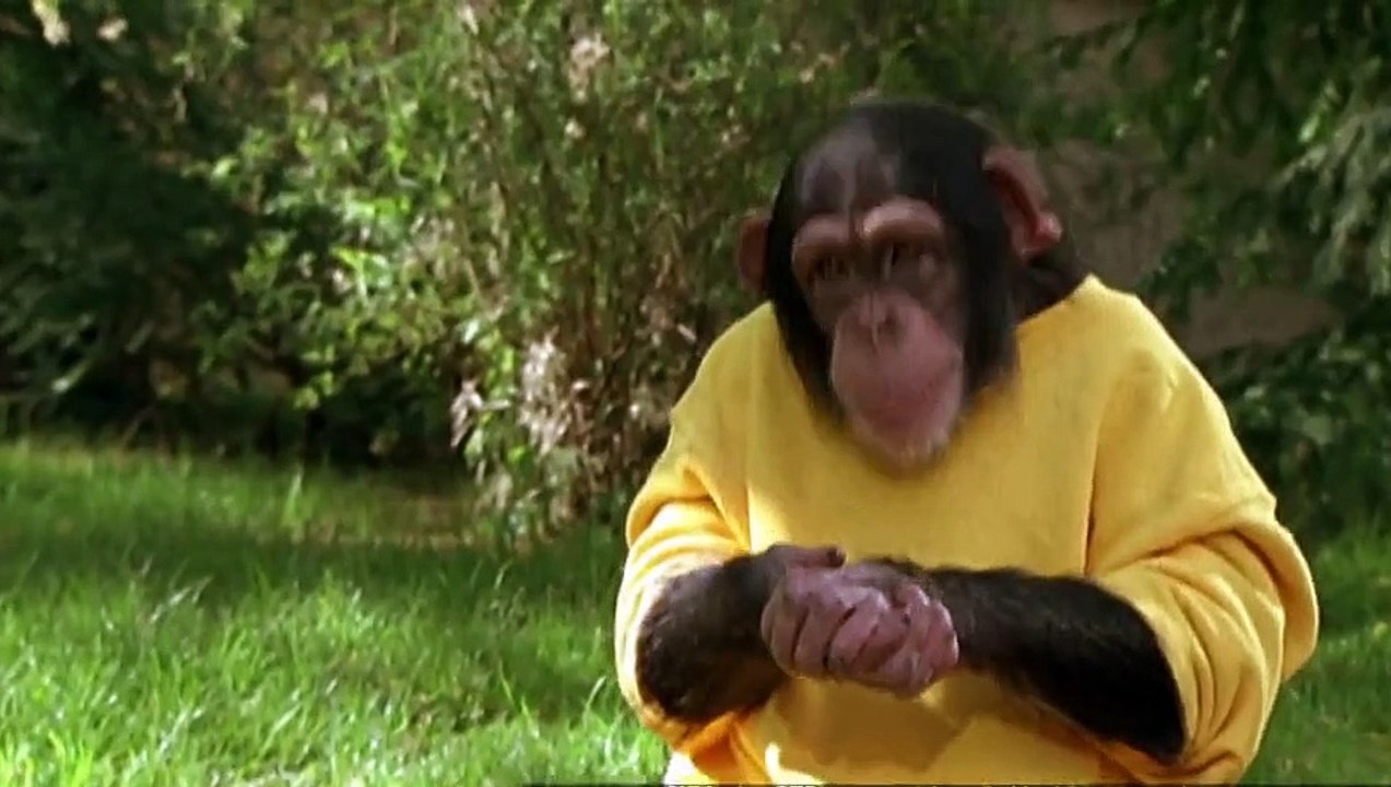 Unser Charly Staffel 13 Folge 2