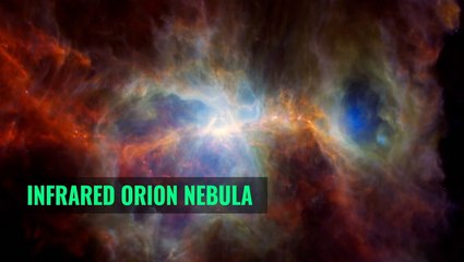 Orion Nebula via Multiple Space-Based Observatories