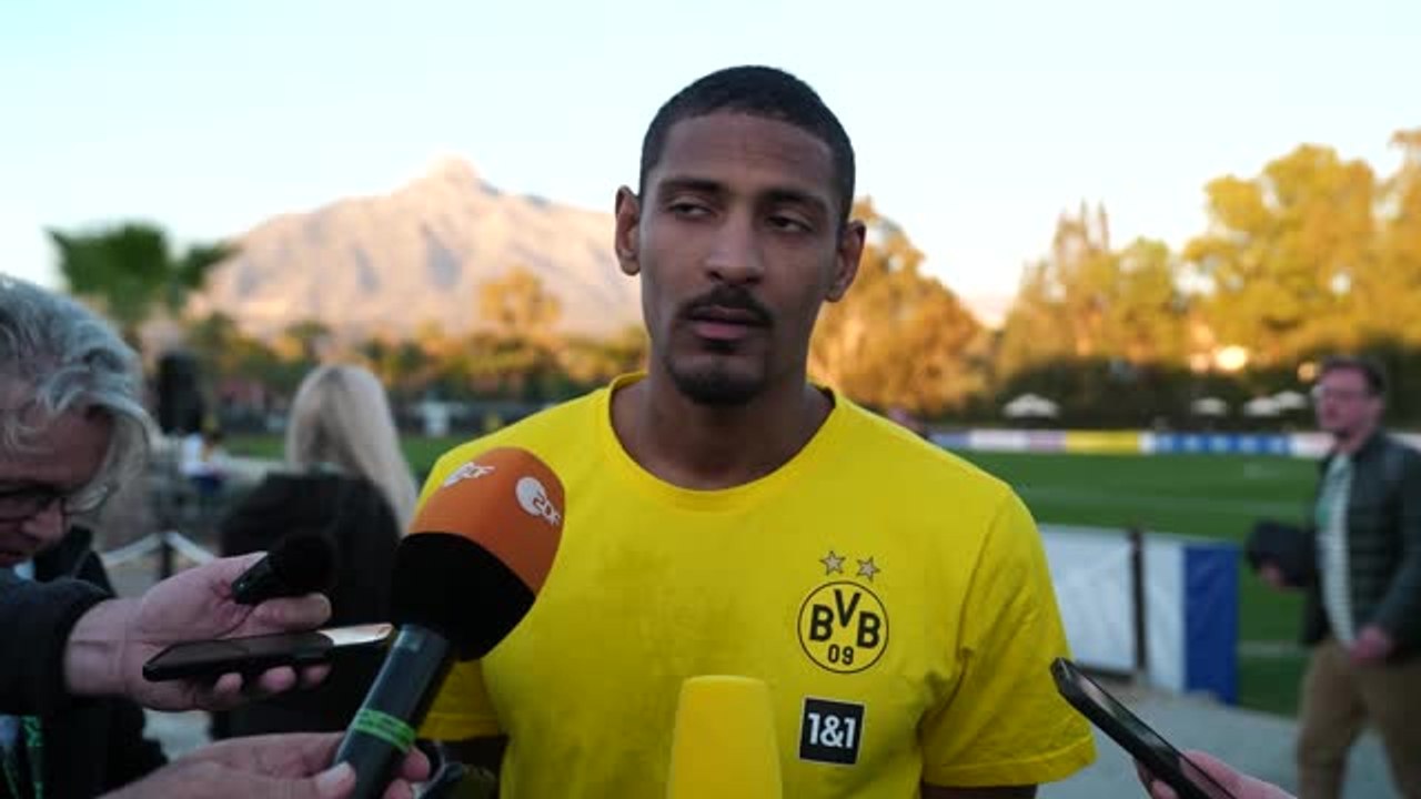 Haller: "Sie haben mich gebeten, Tore zu schießen"