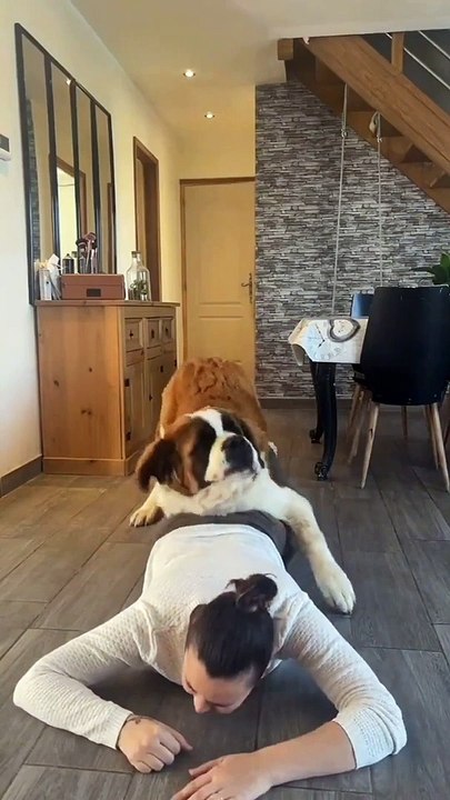 St. Bernard Interrupts Workout