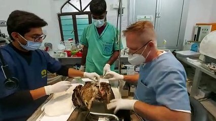 मांझे ने छीना उड़ान का हक