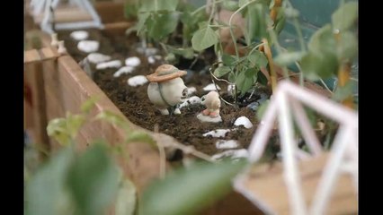 Marcel The Shell With Shoes On | Official Trailer HD | A24