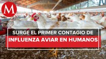 OPS reporta primer caso humano de influenza aviar A H5N1 en América Latina