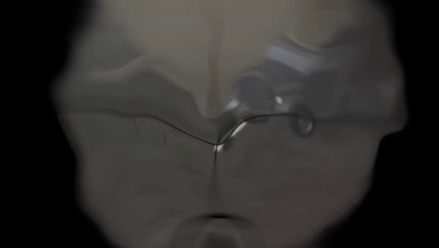 Kebek The Uyghur Sniper (From Turkestan with Love)