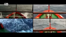 Antártida: Un mensaje de otro planeta | DW Documental