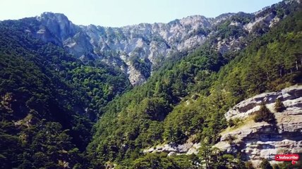 Top 5 Angry Bear Close Encounters in India