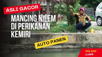 Mancing Nilem Di Perikanan Kemiri