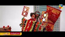 Mohabbat Tujhe Alvida - Full OST - HUM TV - Drama