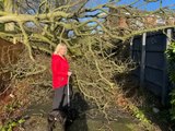 Tree crashes through woman's roof on Friday the 13th - leaving her feeling like Mum  feels like the 'unluckiest woman in the world'