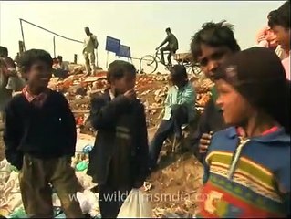 Rag picker children scour the Yamuna riverbed for booty