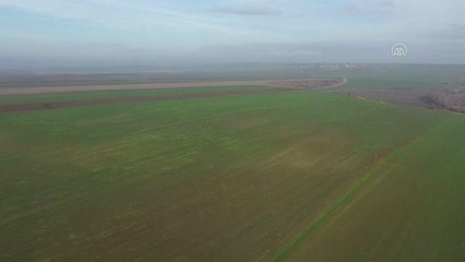 Trakya çiftçisi ürünlerin gelişimi ve yüksek verim için kar yağışı bekliyor