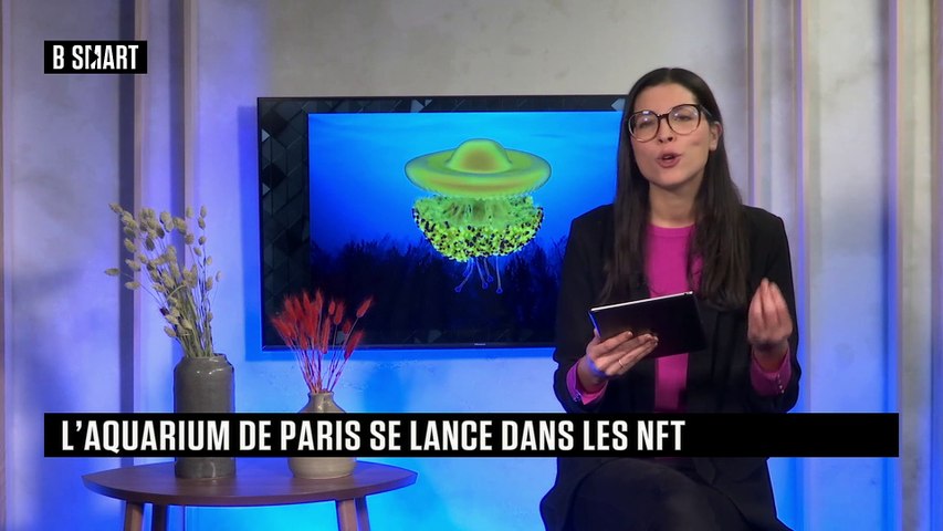  L’aquarium de paris se lance dans les NFT - Des NFT de méduses !