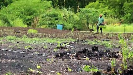 CHINA TT INVESTMENT COOPERATION FORUM