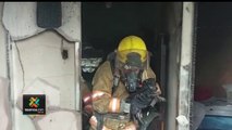 tn7-Bomberos rescataron perro que quedó atrapado en un incendio en Parrita-