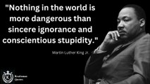 Nothing in the world is more dangerous than sincere ignorance and conscientious stupidity. - Martin Luther King Jr. Quotes