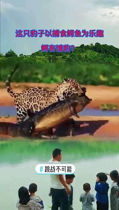 Animals of South America 4K   Scenic Wildlife Film With Calming Music 116