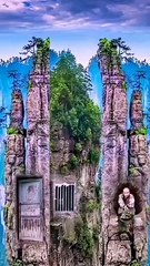 Shocking Animal Moments Caught On Camera (2)