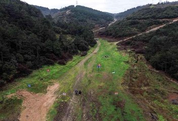 İstanbul'da kuruyan barajlarda domuz avı