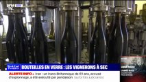 Le secteur viticole est confronté à une pénurie de bouteilles en verre