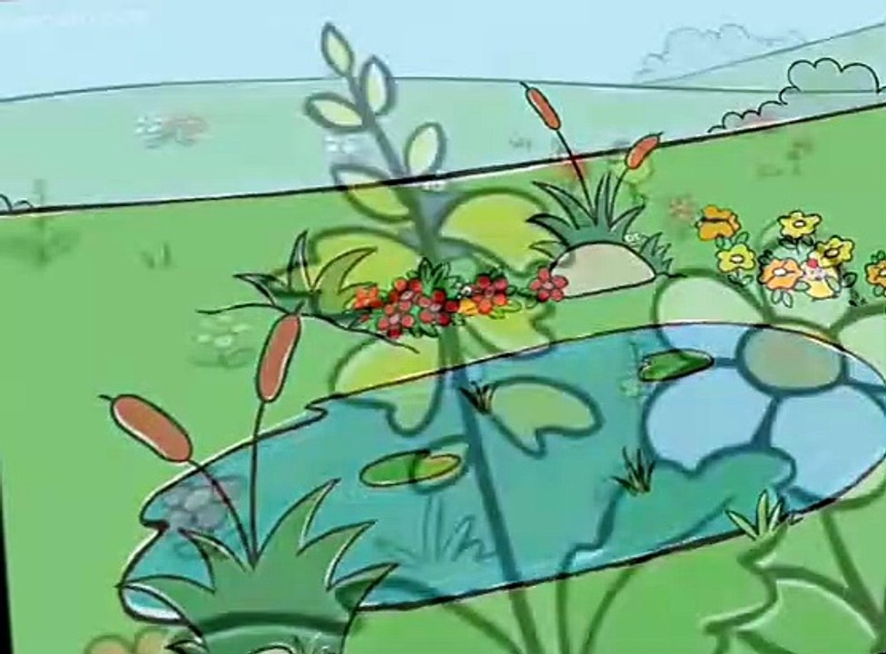 Peep and the Big Wide World Peep and the Big Wide World S01 E043 Hide and Go Peep