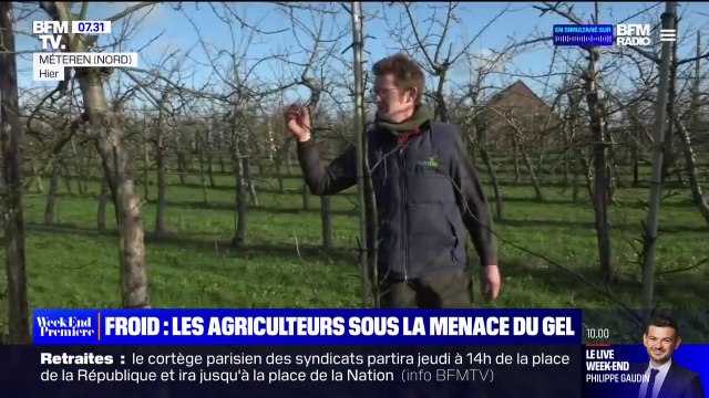 Ces exploitants agricoles redoutent le retour du froid alors que certains arbres fruitiers bourgeonnent déjà