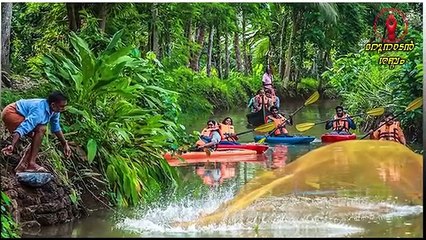 മാസ്സായി കേരളം, മാസ്സായി ഇടതുപക്ഷ സർക്കാർ.