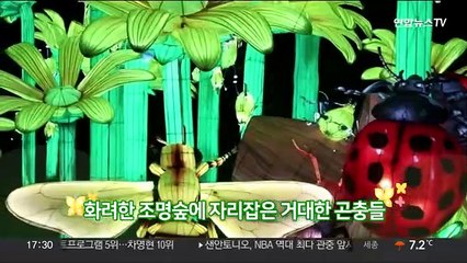 [지구촌톡톡] 곤충들의 숲에 놀러오세요…파리 곤충 조명쇼
